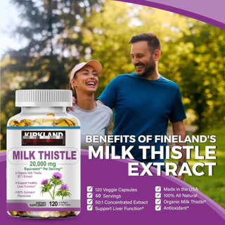 Milk Thistle Pills 50:1 Extract ช่วยเสริมประสิทธิภาพการล้างสารพิษและส่งเสริมสุขภาพตับ สนับสนุนการช่วยเหลือ