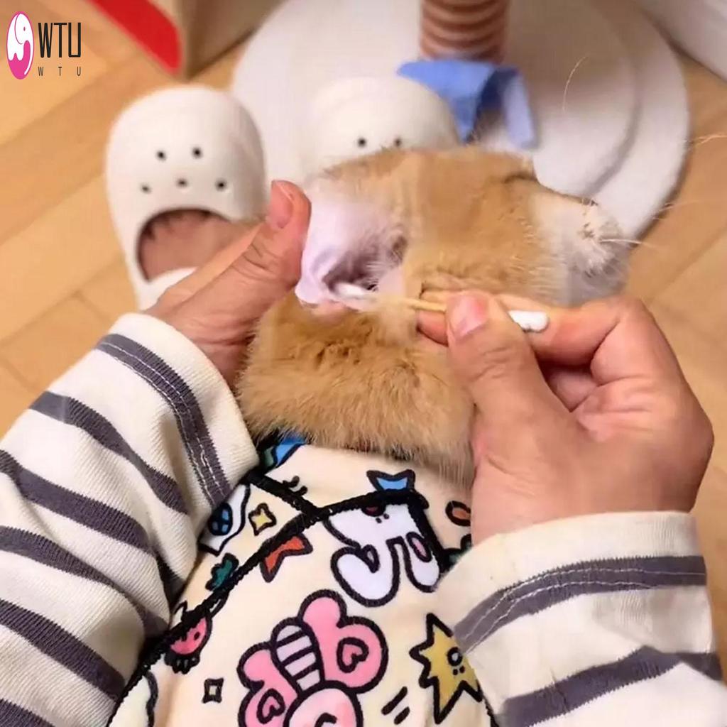 Anti-Escape Calming Wrap สําหรับ Cat Cleaning Grooming Restraint Bag Fit Cats Of All Shapes และอายุ