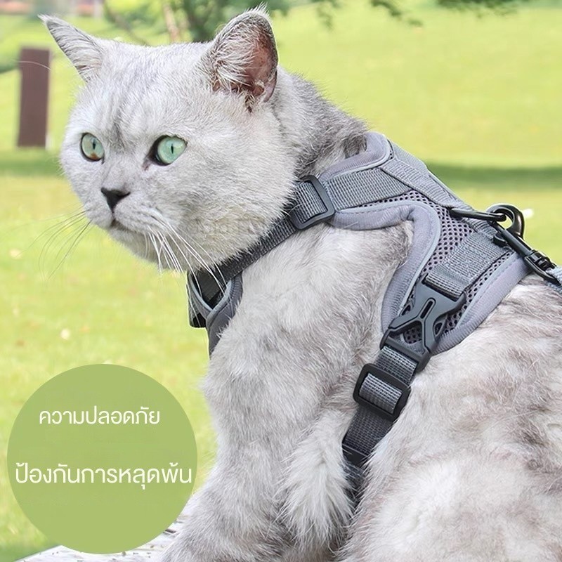 🐱เสื้อรัดอกพร้อมสายจูง เสื้อรัดอกสัตว์เลี้ยง สายจูงสุนัข หมา แมว มีแถบสะท้อนแสง ระบายอากาศ เสื้อสัตว์เลี้ยง เสื้อรัดอก