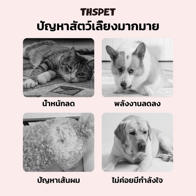 THSPET ขนมสุนัข ขนมแมว ขนมเคี้ยวสำหรับสุนัข เม็ดเคี้ยวนิ่ม ขนมขบเคี้ยวบำรุงขน 125 Soft Chews