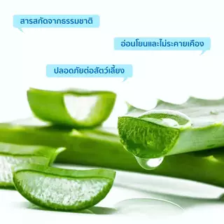Petcho แผ่นเช็ดแมว ทิชชู่เปียกหมา เช็ดหูแมว แผ่นเช็ดตาแมว ผ้าเช็ดทำความสะอาดตา หู แบบอ่อนโยน 130 ชิ้น / 200 ชิ้น