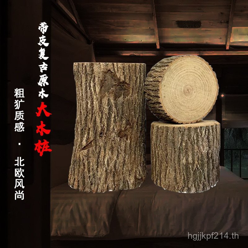 Camphor Tree Willow Tree Display Photo Props ไม้ Stump Sophorax Tree Oak Stump โต๊ะกาแฟ Stump พร้อม 