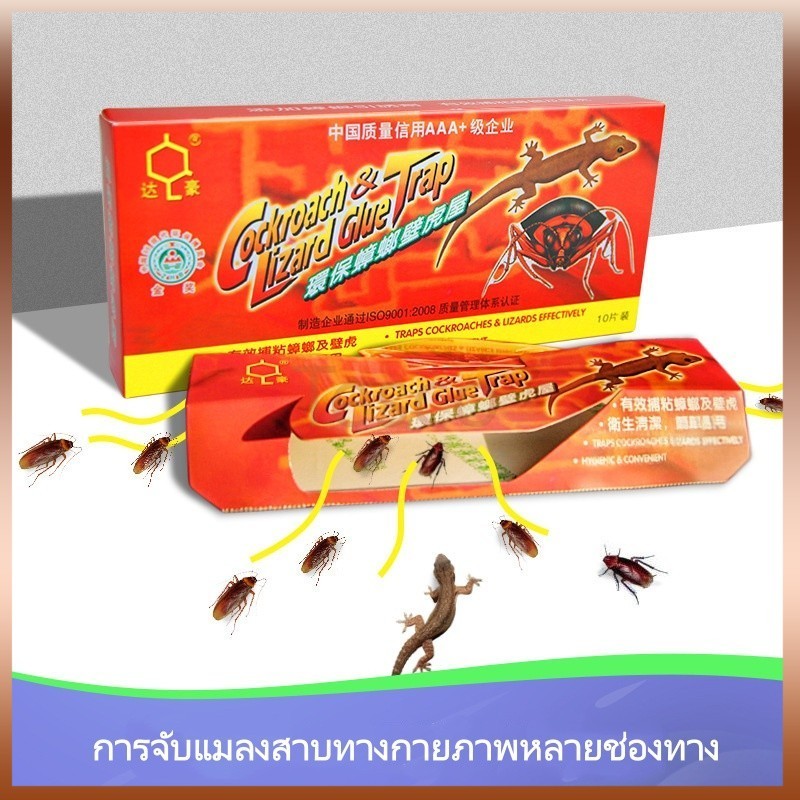 Tesco บ้านแมลงสาบ ดักจิ้งจก ดักแมลงสาบ กาวดักแมลงสาบ ที่ดักแมลงสาบ กับดักแมลงสาบ
