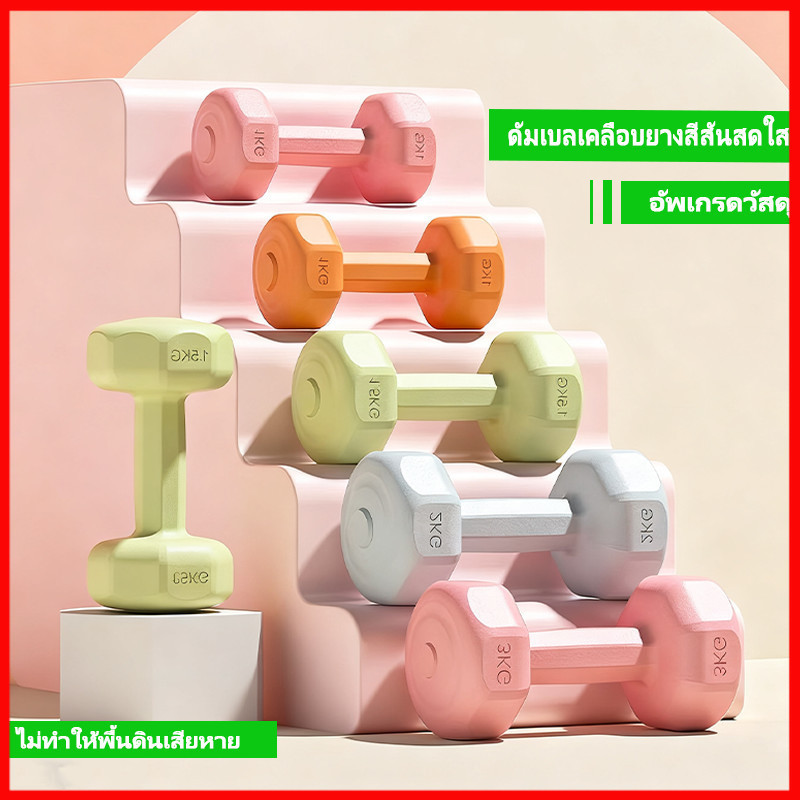⚡พร้อมส่งจากไทย⚡ ดัมเบล 2KG / 3KG  สำหรับลดไขมันต้นแขน ออกกำลังกาย Dumbbells (สุ่มสี)