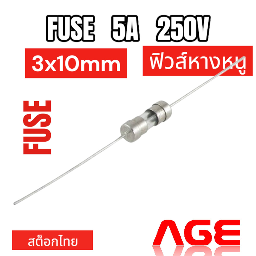 Fuse 5A 250V, 3X10mm,ฟิวส์หางหนู