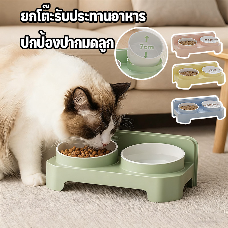 ชามข้าวแมวสองชั้น 🐾 ชามอาหารแมวยกสูง ถอดออกได้ วัสดุPP ทนทาน ขนาดลึก