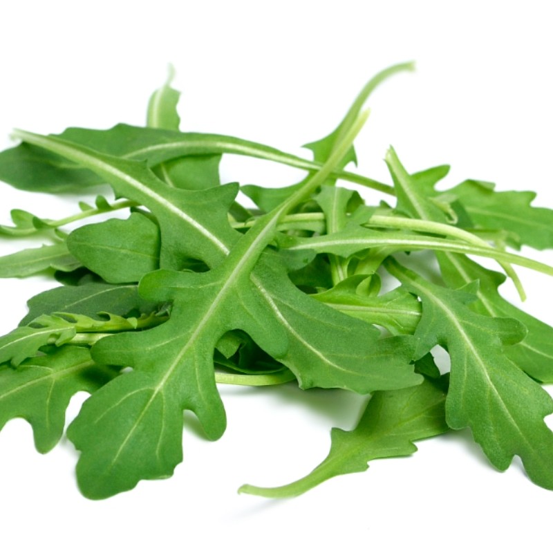 ตั้งค่าโครงการ ผักสลัด ร็อกเก็ตอิตาลี 400 เมล็ดArugula Seeds ตั้งค่าโครงการแท้ นำเข้าจากต่างประเทศ ป