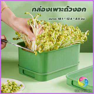 E.C. กล่องเพาะถั่วงอก ถาดเพาะต้นอ่อน  ไม่ต้องใช้ดิน นำกลับมาใช้ใหม่ได้ 1ชุด bean sprouts tray