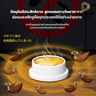 กำจัดจิ้งจก แพ็ค 8 ชิ้น/กล่อง ผลยาวนาน ปลอดภัยสำหรับคนและสัตว์
