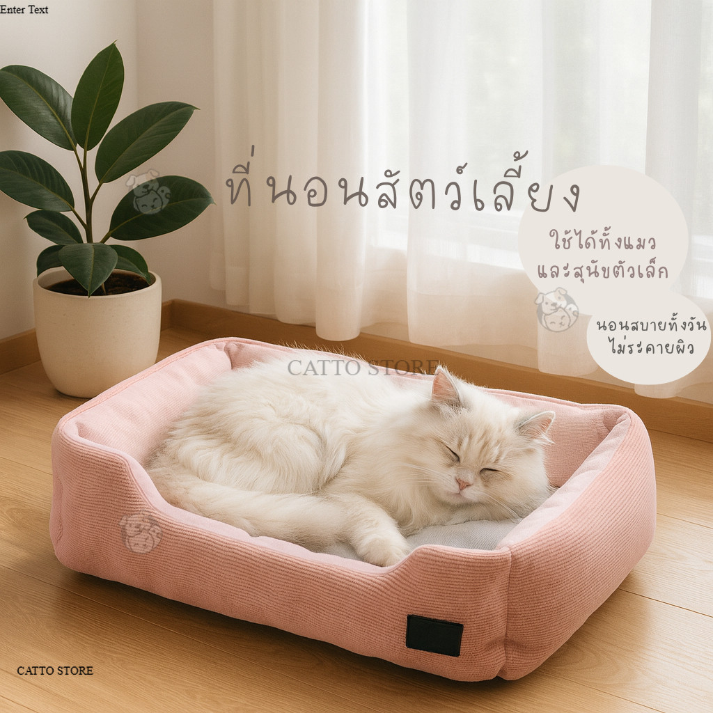 ที่นอนน้องแมว ที่นอนสัตว์เลี้ยง เบาะนอน นุ่ม หนา น่ารัก พาสเทล กันลื่น พร้อมส่ง มีขอบกันตก BEDA