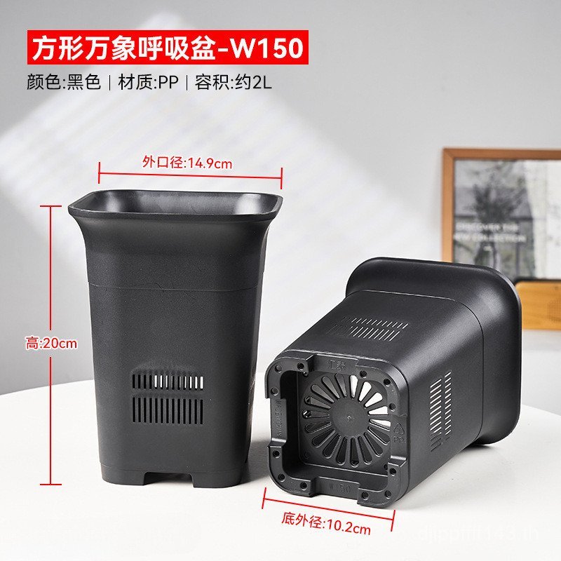 สแควร์ดอกไม้สีเขียวพืช Root Control หม้อ Breath Permeable จัดส่งฟรี Succulent Breathable Anti-Rotten