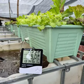 จุลินทรีย์การเลี้ยงปลาระบบหนาแน่น จุลินทรีย์ไบโอฟลอค Biofloc