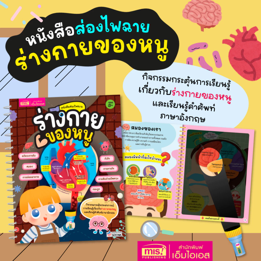 หนังสือส่องไฟฉาย ร่างกายของหนู การเรียนรู้เกี่ยวกับร่างกายหนูน้อย