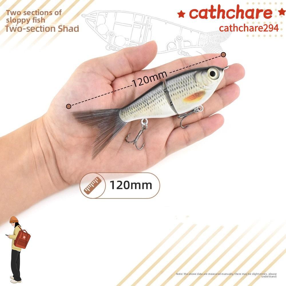 CATHCHARE294 เหยื่อเบส, Glide Action Style Trout Wobbler, Fishing Gear Hard Baits Joint Design Wobbl