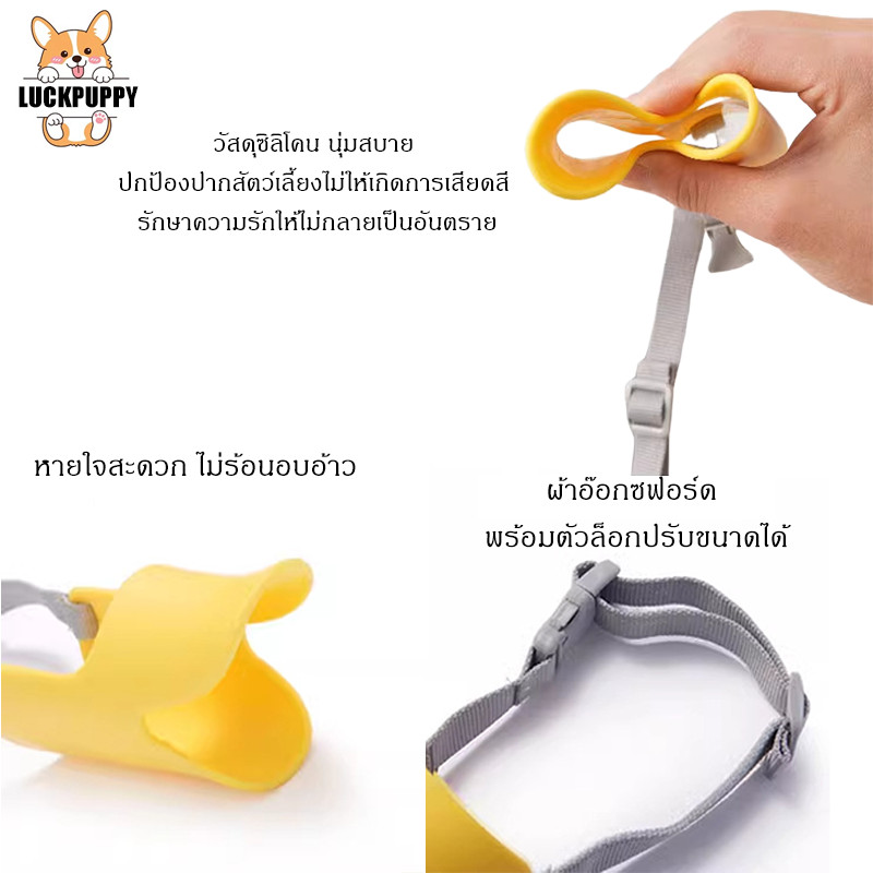 สินค้าพร้อมส่ง ตะกร้อปากสุนัข 🐶 ป้องกันกัด เลีย กินของแปลก ✨ ปรับขนาดได้ เหมาะสำหรับสุนัขพันธุ์เล็ก-กลาง - รูปที่ 3