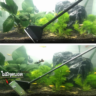 ไม้ขูดตะไคร่ ที่ขูดตะไคร่น้ำ Algae Scraper ยาว 32cm 42cm 62cm สำหรับขูดตะไคร่น้ำเกาะกระจกตู้ปลา แถมใบมีด