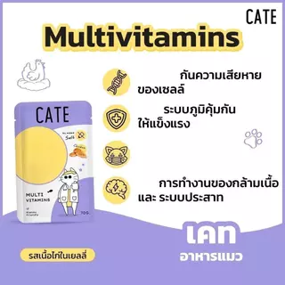 Cate Wet Food อาหารเปียกแมว 5 สูตร ไม่เติมเกลือ Vitamin E, A, B1, B2, B6, B12, D3, K3, Omega3,6 [ยกลัง 48 ซอง]