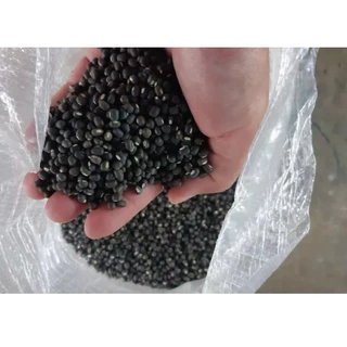 เมล็ดถั่วแขกดำ สำหรับเพาะงอก 900g. ถั่วดำ ถั่วเพาะงอก Black mung bean ถั่วเขียวผิวดำ ถั่วแขกพม่า