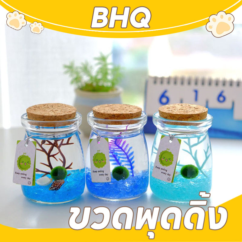 BHQ ชุดพร้อมเลี้ยงมาริโมะ แถมอุปกรณ์ครบชุดพร้อมเลี้ยง มาริโมะ ของขวัญ มอสบอล