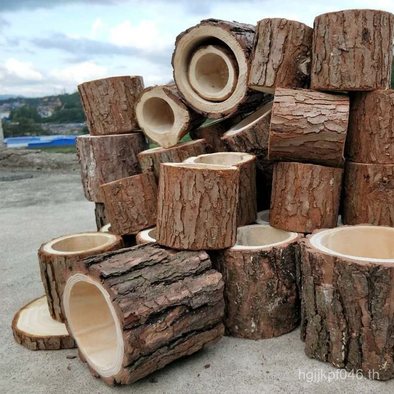 กระถางดอกไม้ Phalaenopsis Orchid Flower Pot Succulent Flower Pot Log Dendrobium Wood Pot Phalaenopsi