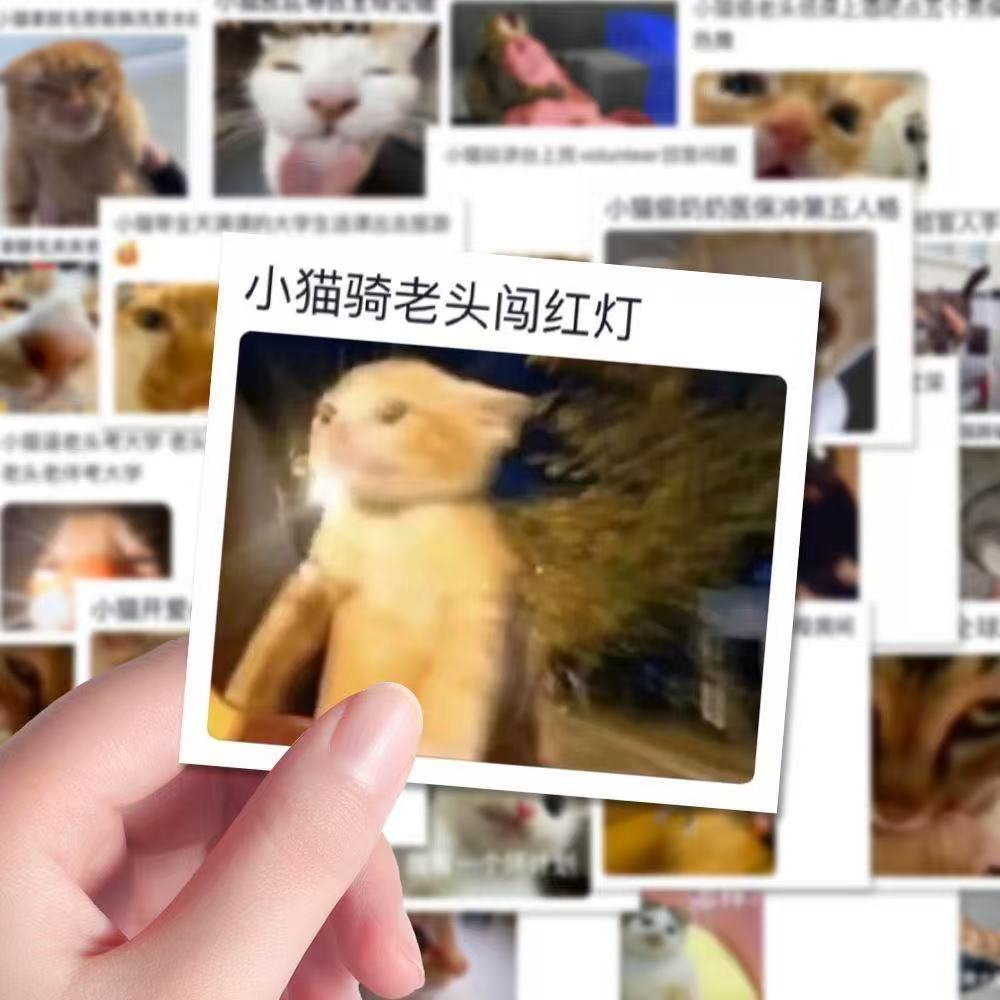 162 ชิ้น bad Cat สติกเกอร์ Cat Meme Cat Meme Emoticon บทคัดย่อ Gadget สติกเกอร์ Cat Meme ตาราง202511