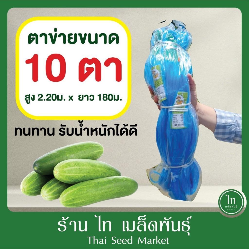 ตาข่าย 10 ตา อวนแตง แตงกวา ถั่ว บวบ มะระ ค้างแตง ตาข่ายปลูกแตง ปลูกผัก