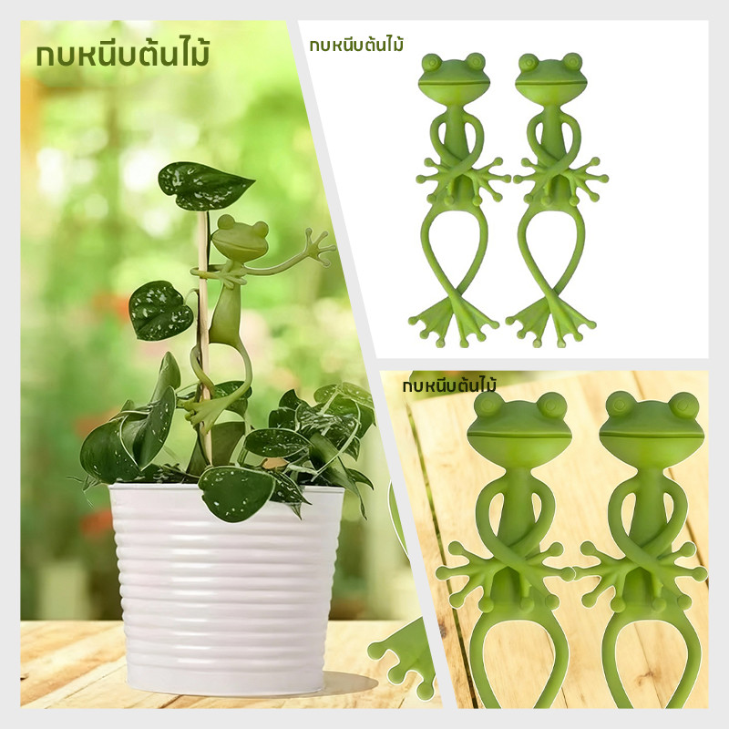 Frog Plant Stand ขาตั้งต้นไม้ ขาตั้งต้นไม้กบ ขาตั้งกบสำหรับจัดแต่งทรงต้นไม้และยึดต้นไม้