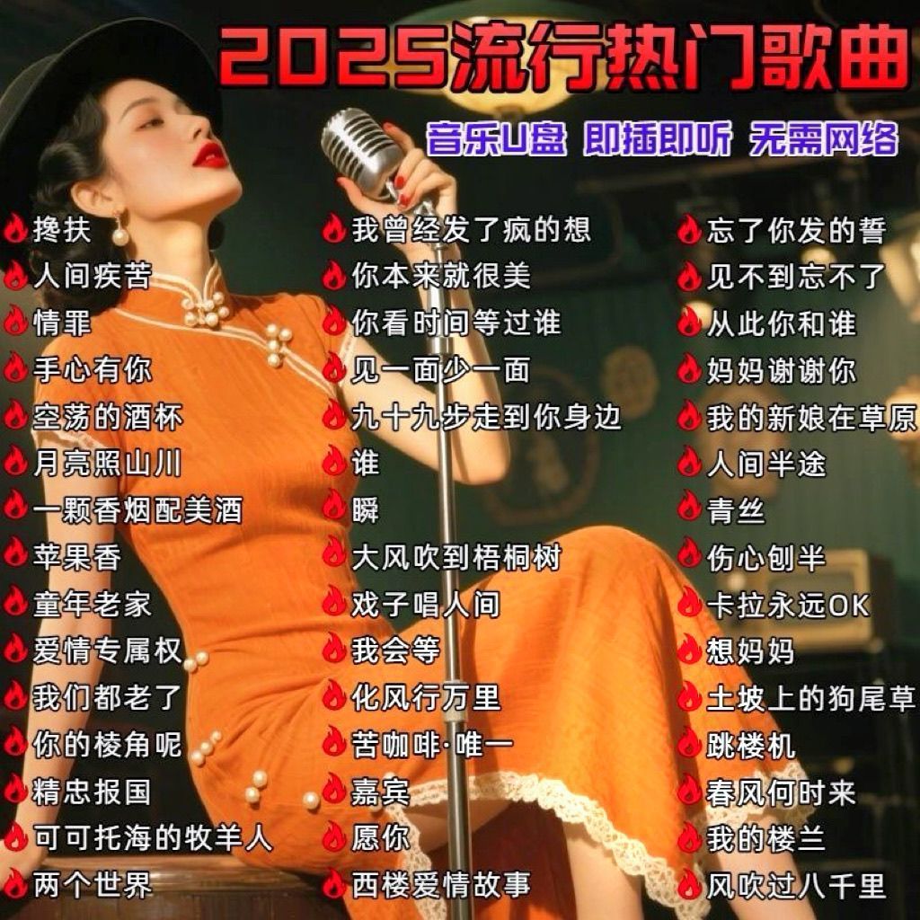 TikTok 2025 เลือกเพลงยอดนิยมเครือข่าย Love Songs U Disk คุณภาพสูง MP3 เสียงรถ U Disk เพลง 2025 ใหม่ 