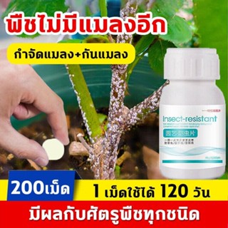 ยาเชื้อราในพืช ยากำจัดเพลี้ย ยากำจัดสัตรูพืช 40g(200เม็ด) ฆ่…