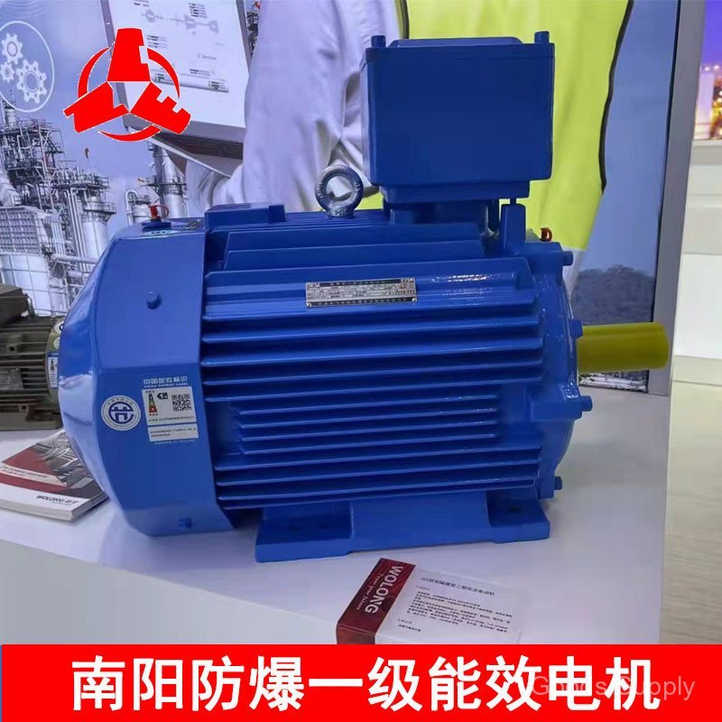 Wolong Nanyang มอเตอร์ป้องกันการระเบิด First Class Energy Effect YBX5 สามPhase Abnormal Walking Moto