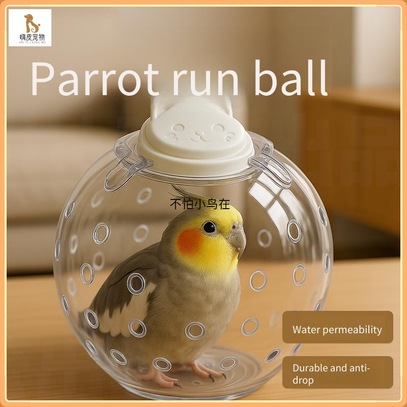 ของเล่นนก / ของเล่นนกแก้วแก้เบื่อตัวเอง Hi Running Ball / นกแก้วคลายเครียดกีฬาพิเศษวิ่งเครื่องบอล / สิ่งประดิษฐ์ใหม่เดินนก