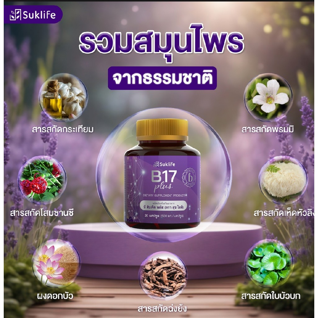สุขไลฟ์ บี17 พลัส Suklife B17 Plus (20 แคปซูล) ผลิตภัณฑ์เสริมอาหาร สมุนไพรกันลืม ดูแลเรื่องความจำ แล
