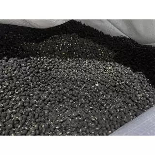 เมล็ดถั่วแขกดำ สำหรับเพาะงอก 900g. ถั่วดำ ถั่วเพาะงอก Black mung bean ถั่วเขียวผิวดำ ถั่วแขกพม่า