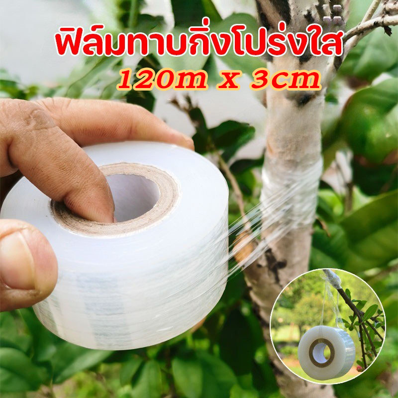 เทปพันกิ่ง3cmx120m สำหรับตอนกิ่ง-ทาบกิ่ง พลาสติกยืดใสเหนียว กันน้ำ ไม่ทำลายเนื้อเยื่อพืช เหมาะกับไม้ผล-ไม้ประดับ