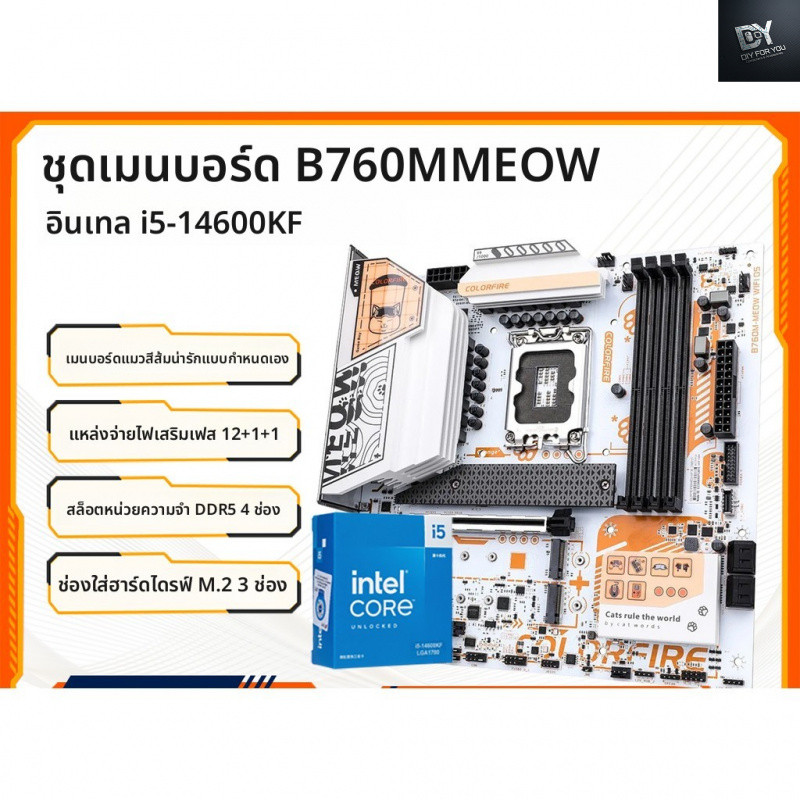 Dfy Intel cpu i5 14600KF กล่องสีสันสายรุ้งสีส้มแมว B760M-MEOW WIFI D5 เมนบอร์ด CPU ชุด