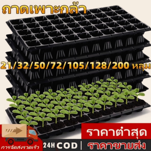 ถาดเพาะกล้า ถาดเพาะเมล็ด ถาดเพาะชำ ถาดเพาะ ถาดเพาะต้นอ่อน เพาะเมล็ด ถาดเพาะไฮโดร 32, 50, 72, 105, 128, 200หลุม