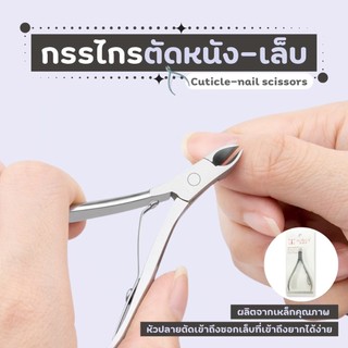 กรรไกรตัดหนัง สแตนเลสทั้งชิ้น กรรไกรตัดเล็บ กรรไกรแต่งเล็บ กรรไกรแต่งเล็บ