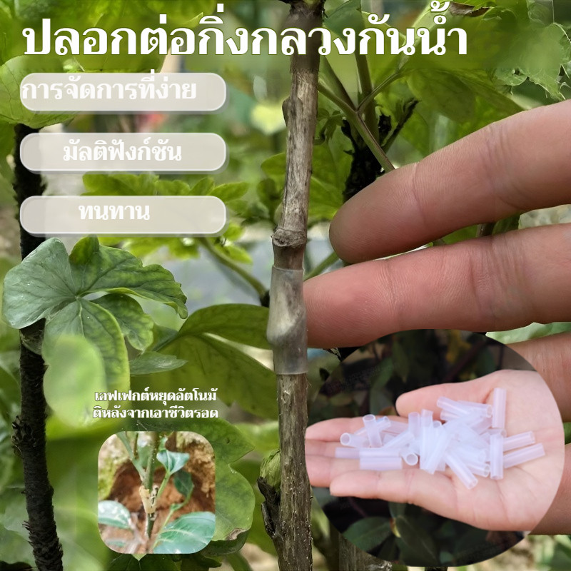 🔥ขายร้อน🔥ปลอกเสียบยอดแบบใส/อุปกรณ์เสียบยอด/หลอดซิลิโคน ปลอกซิลิโคนสำหรับต้นกล้า/ปลอกสีขาวแบบยืดหยุ่นกันน้ำสำหรับต้นกล้าดอก/ป้องกันเชื้อรา กันน้ำ ป้องกันการติดเชื้อ/เพิ่มอัตราการรอดตายจากการเสียบยอด