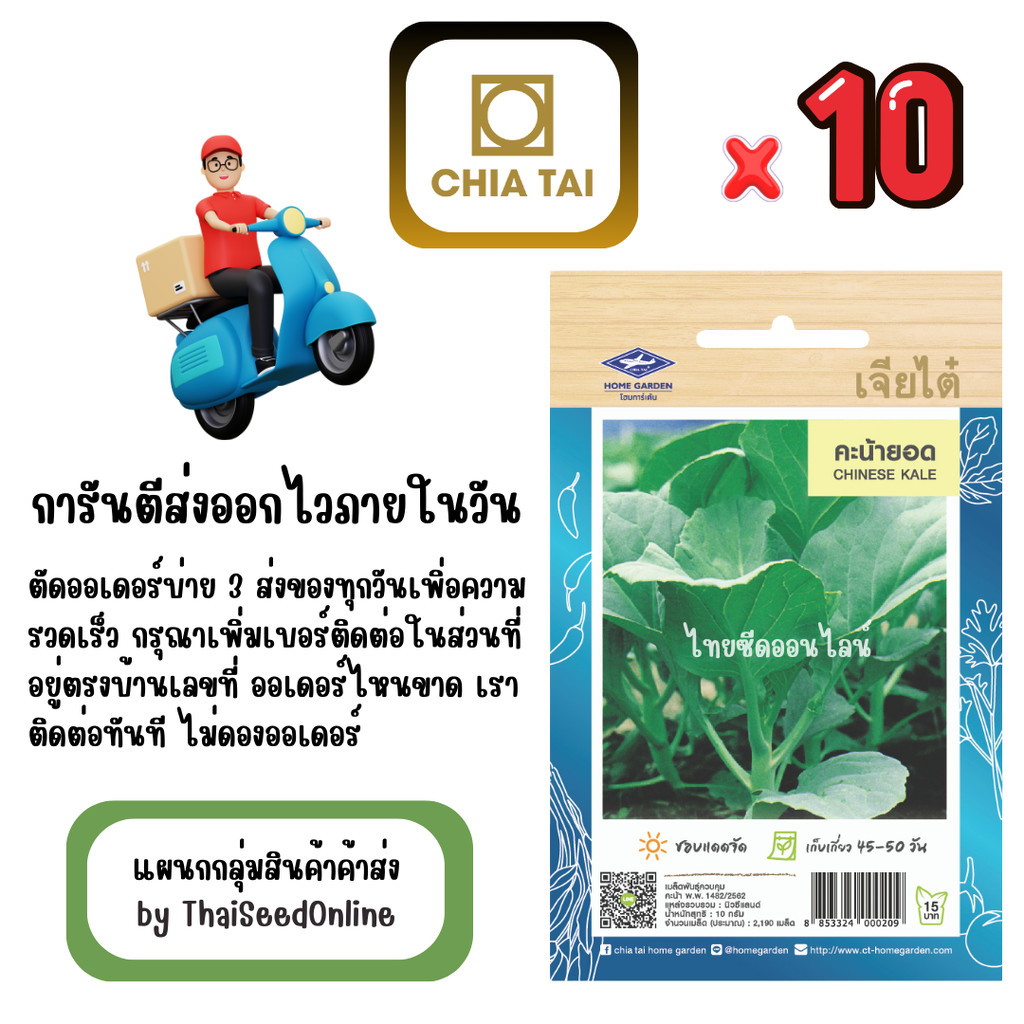 เจียไต๋ CTOP x 10 เมล็ดผักซองเจียไต๋ คะน้ายอด สินค้ายกแพ็ค