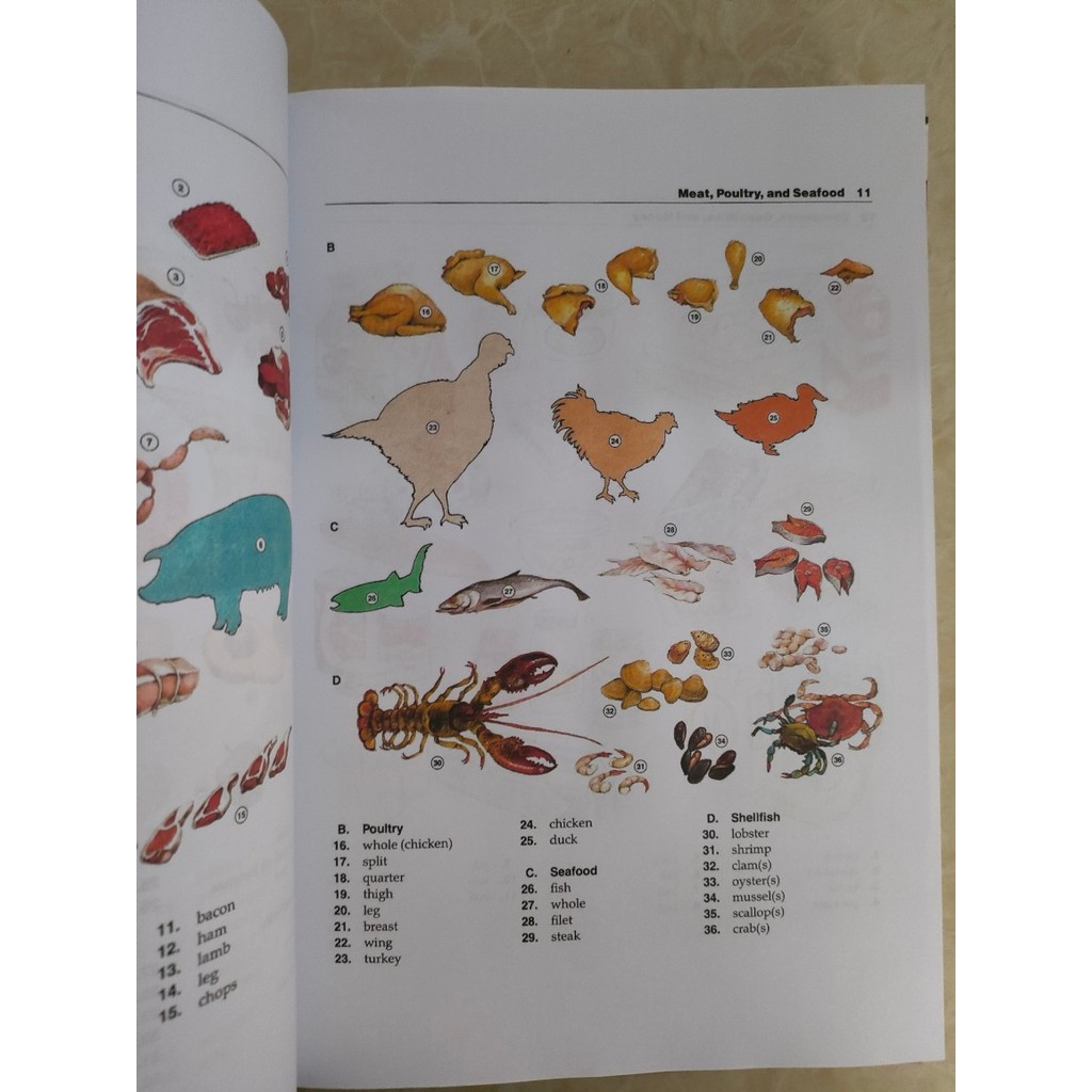 ใหม่ Oxford Picture Dictionary 牛新款尺寸 解 英语