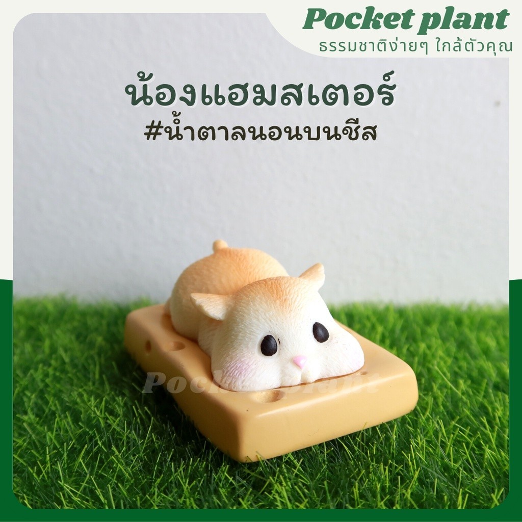 มุมมอง 2