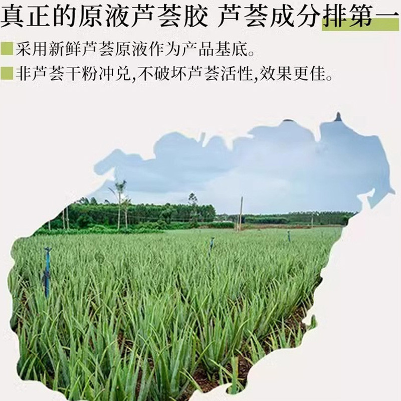 ค้นหา Vera Aloe Vera Gel After Sun Repair Skin Aloe Vera Gel Repair Gel Aloe Vera Cream Antibiotic G