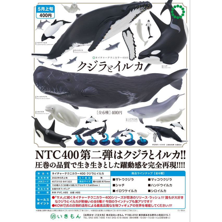 ญี่ปุ่น IKIMON IKIMON Sea Life 2 NTC Dolphin Killer Whale Seat Head Whale Spread Fragrant Whale Gach