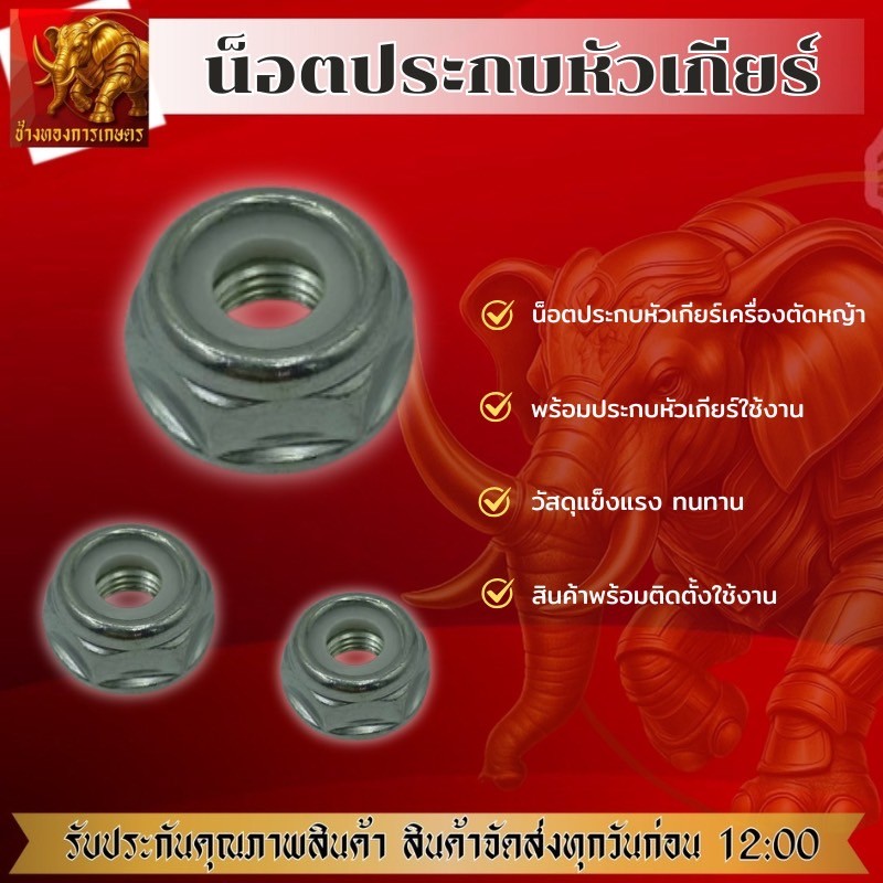 น็อต411 สีเงิน น็อตประกบหัวเกียร์ น็อตประกบหัวเกียร์เครื่องตัดหญ้า น็อตตัดหญ้า