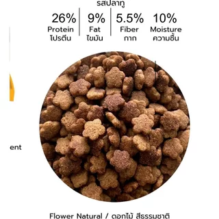 [ 7-10 kg. ] Raptor Cat อาหารแมวโต รสปลาทู | โปรตีน 26% พรีเมียม ไม่เติมเกลือ ลดกลิ่นมูล ขนาด 7-10kg.