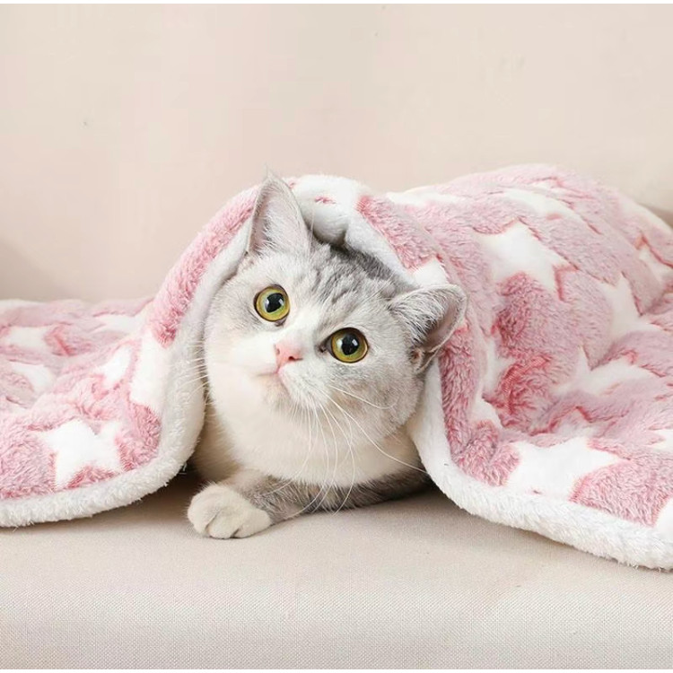 เบาะสัตว์เลี้ยง เสื่อแมว ผ้าห่มสุนัข ผ้าห่มสัตว์เลี้ยง เบาะนอนสำหรับสัตว์เลี้ยง - รูปที่ 5