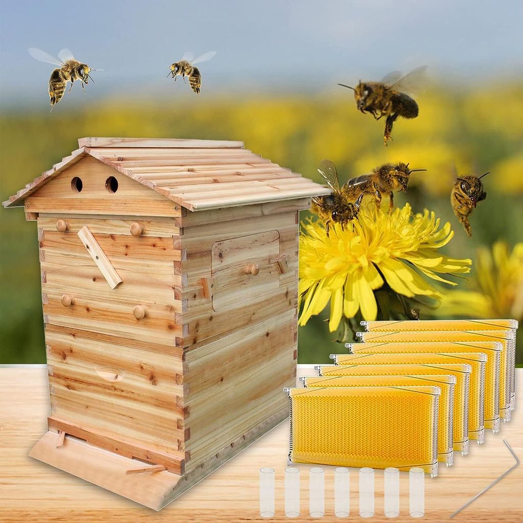 Self-Flow Bee Box Bee Bee Box อัตโนมัติครบชุด Bee Villa Self-Flow Bee Box ขายส่ง Bee Spleen Honey