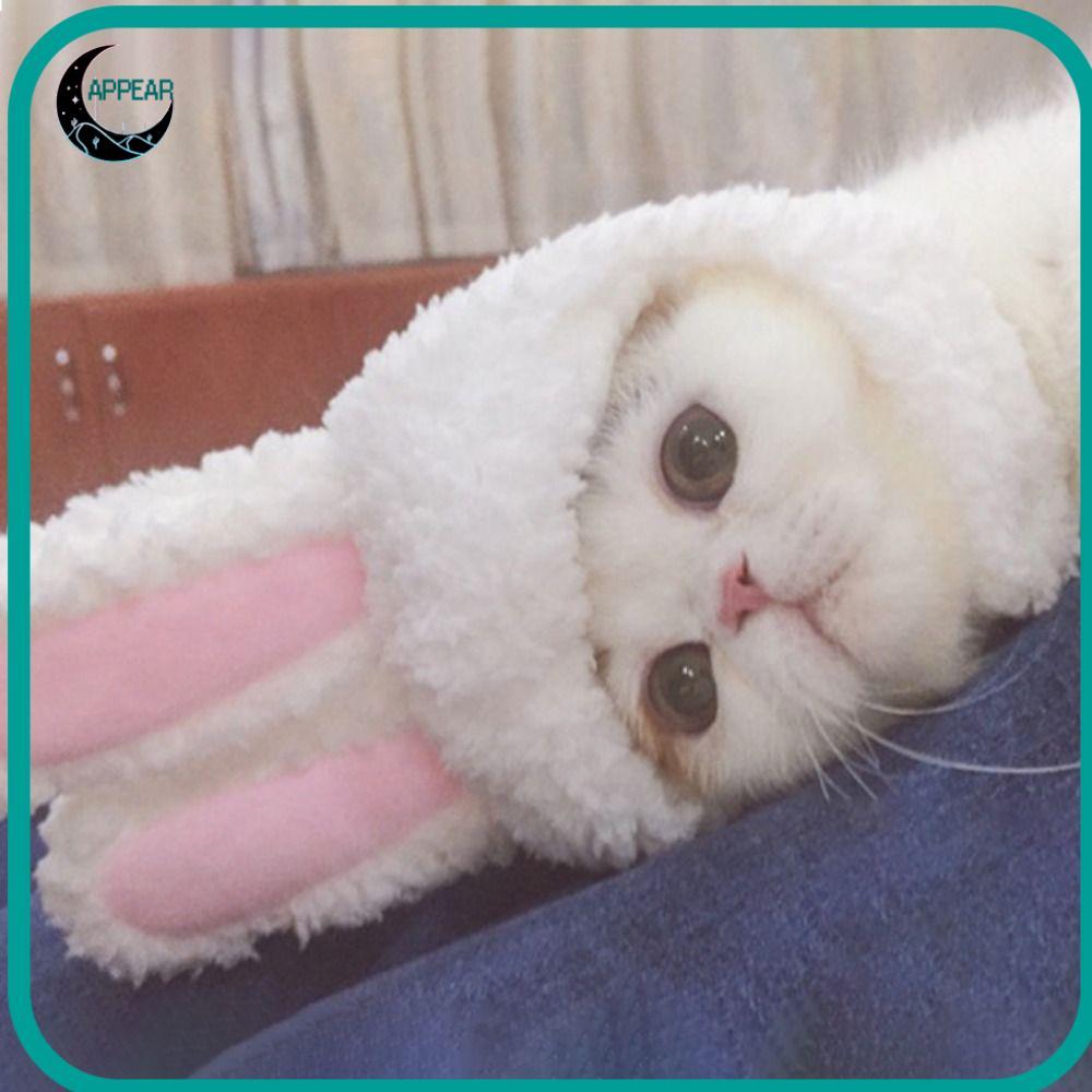 หมวกสัตว์เลี้ยง APPEAR, หมวกแมวกลั่นน่ารัก, การตกแต่งอุปกรณ์ประกอบฉากถ่ายภาพยืดหยุ่น