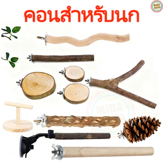 💥ราคาถูกสุดๆ🚀ส่งด่วนจากไทย คอนลับเล็บ คอนนกแก้ว คอนกระรอก ชูก้า คอนนกใหญ่ คอนสำหรับนกแก้ว คอนนกแก้ว ไม้ธรรมชาติ100%