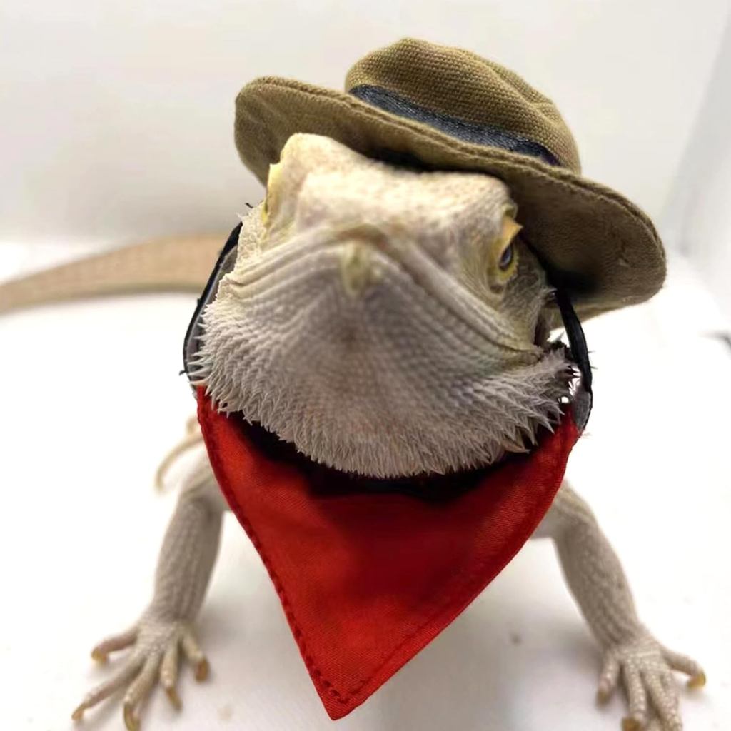 SEIS 2PCS Bearded Dragon Cowboy Hat and Bandana Halloween Lizard Reptile Costume Cool Pet Cap Small 